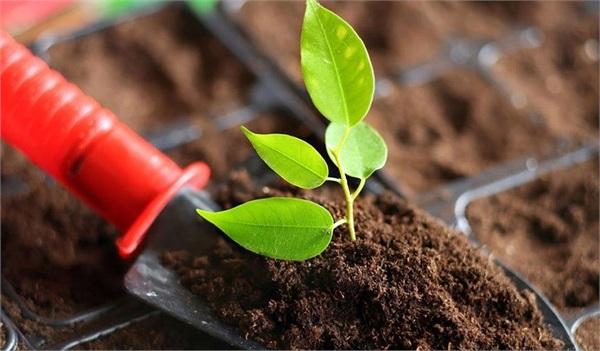 哪些行业的项目环评需要进行土壤评价?